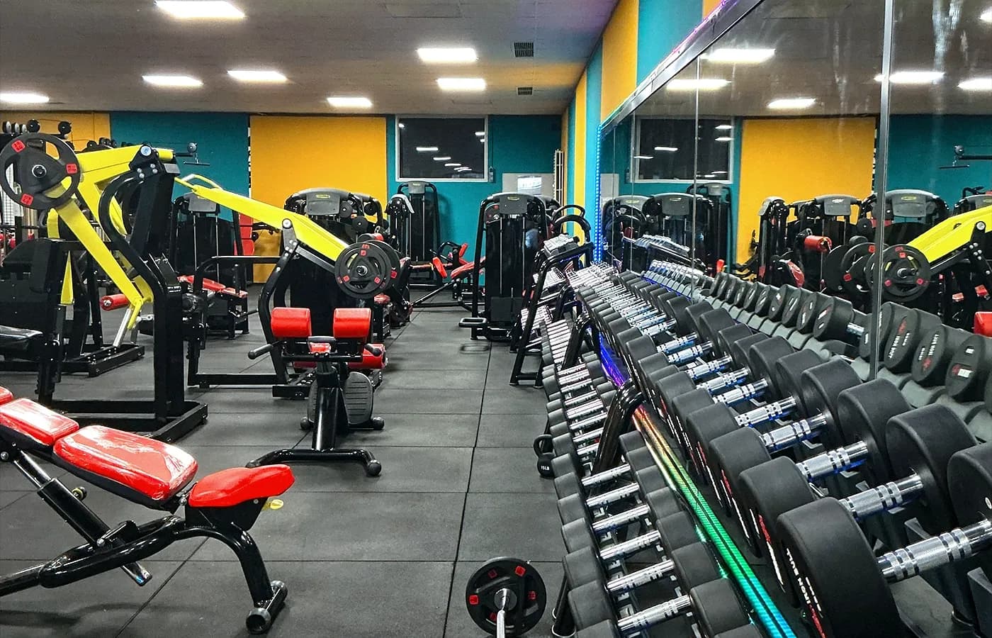 Freihantelbereich mit vollem Kurzhantel-Rack bei AllmliFitness