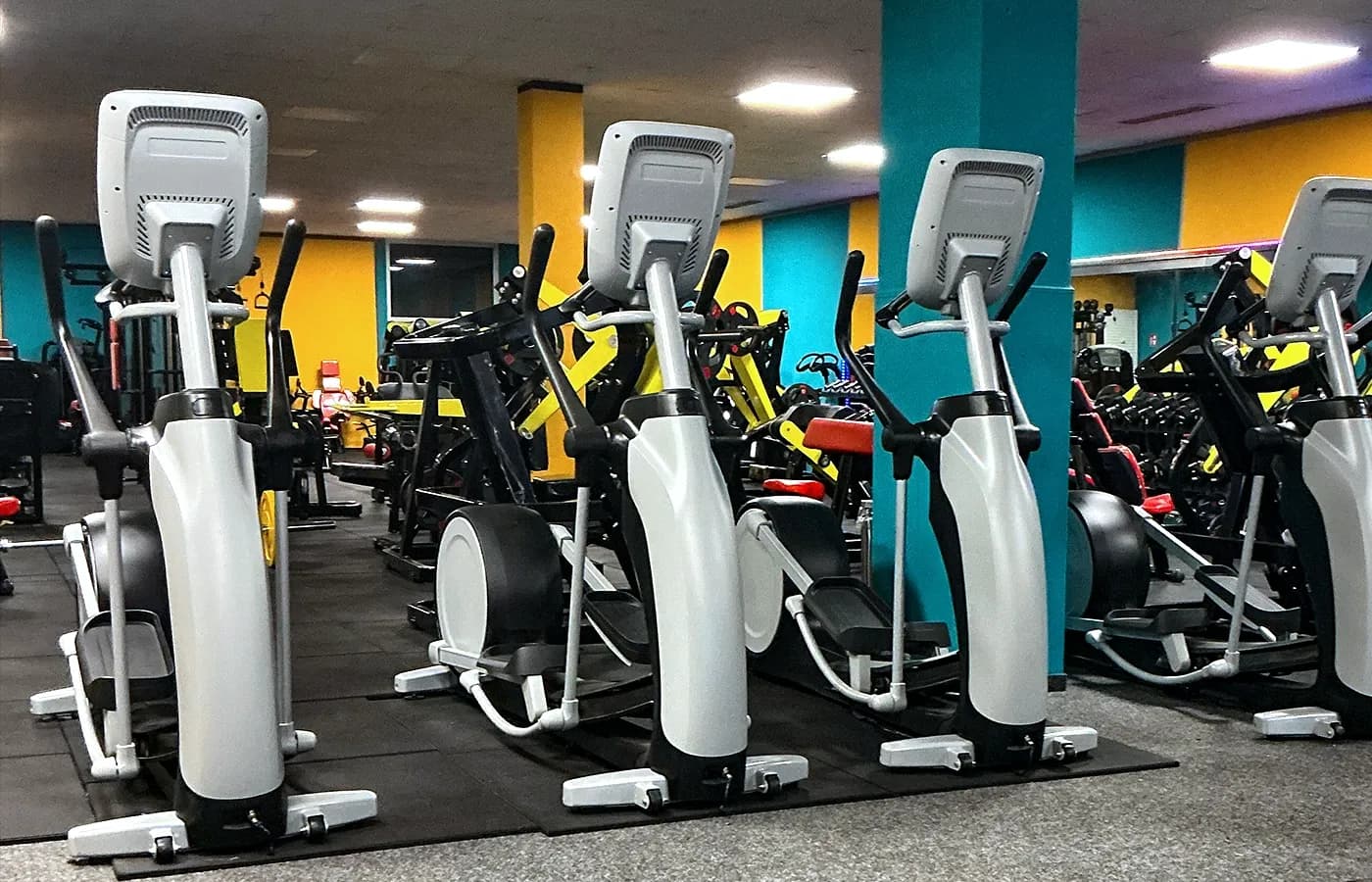 Reihe von Crosstrainern im Cardio-Bereich